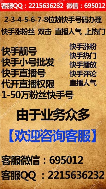 快手刷粉平台大揭秘:你真的了解吗?