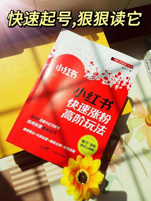 **标题:小红书涨粉秘籍大公开!轻松吸引更多粉丝关注的实用方法**