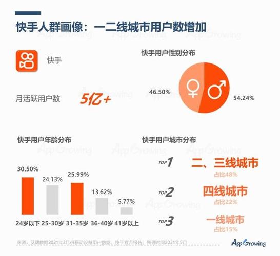 专业解析:快手刷粉平台的收益与成本对比