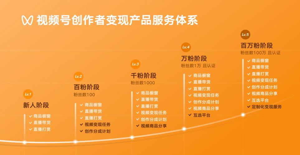 **揭秘视频号粉丝飙升背后的推手：高效刷粉平台全解析！**