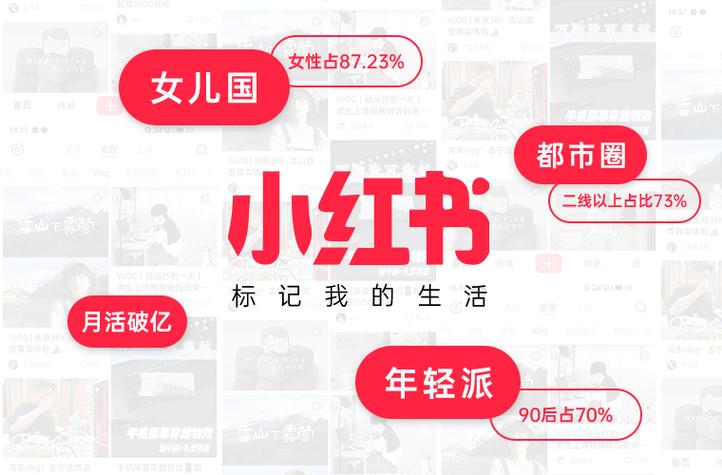 网红养成记：小红书粉丝自助购买平台的力量