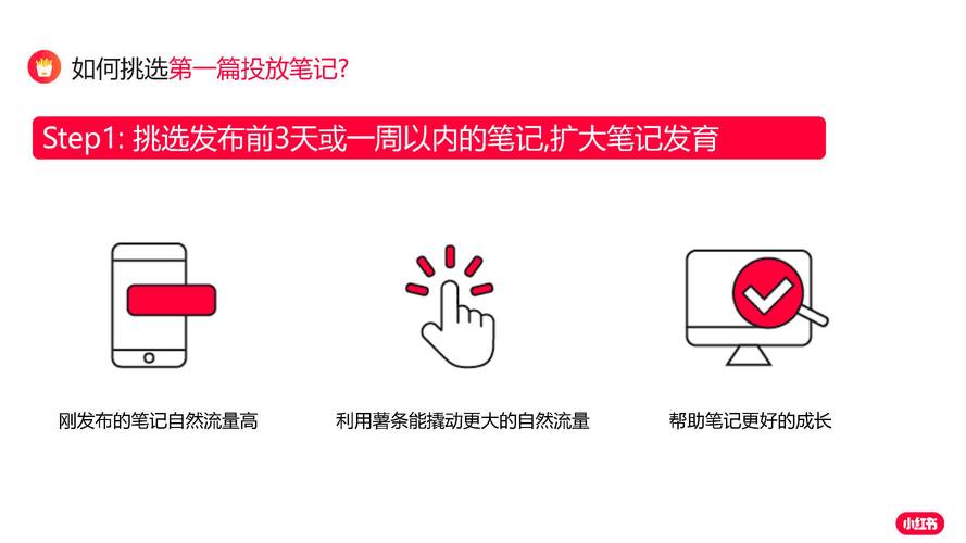 **标题：小红书粉丝增长乏力？这个平台助你实现飞跃式增长！**