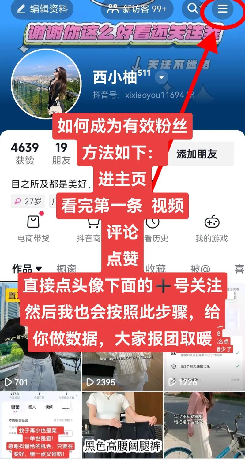 揭秘快手刷粉：如何构建可持续的粉丝增长策略？