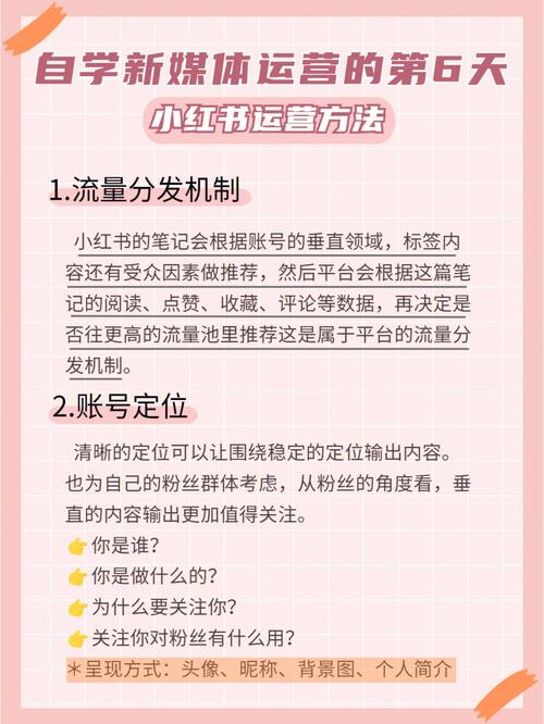 **标题：揭秘小红书粉丝购买平台：专业增粉服务助力账号蜕变**