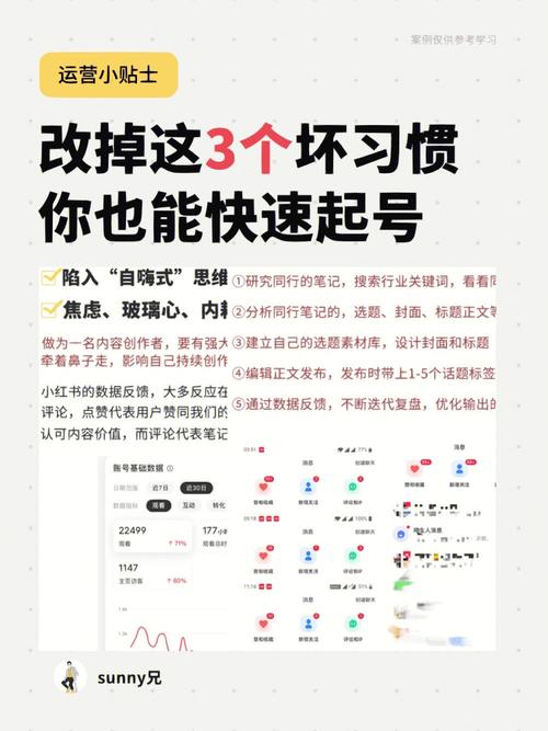 **小红书粉丝购买平台：快速升级账号的秘诀揭秘**