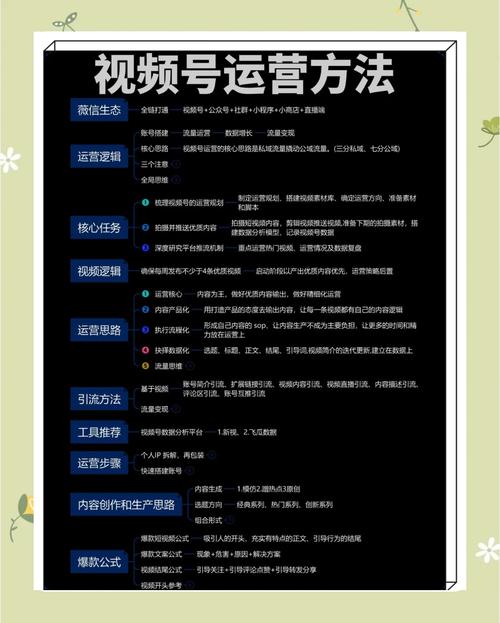 **标题：视频号运营秘籍：高效管理粉丝评论，打造和谐互动社区**