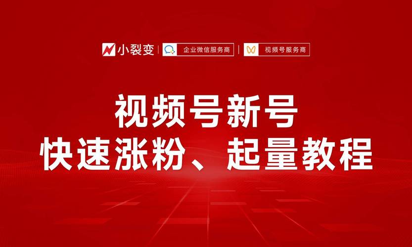 **标题:揭秘视频号涨粉秘籍,轻松实现粉丝飙升!**