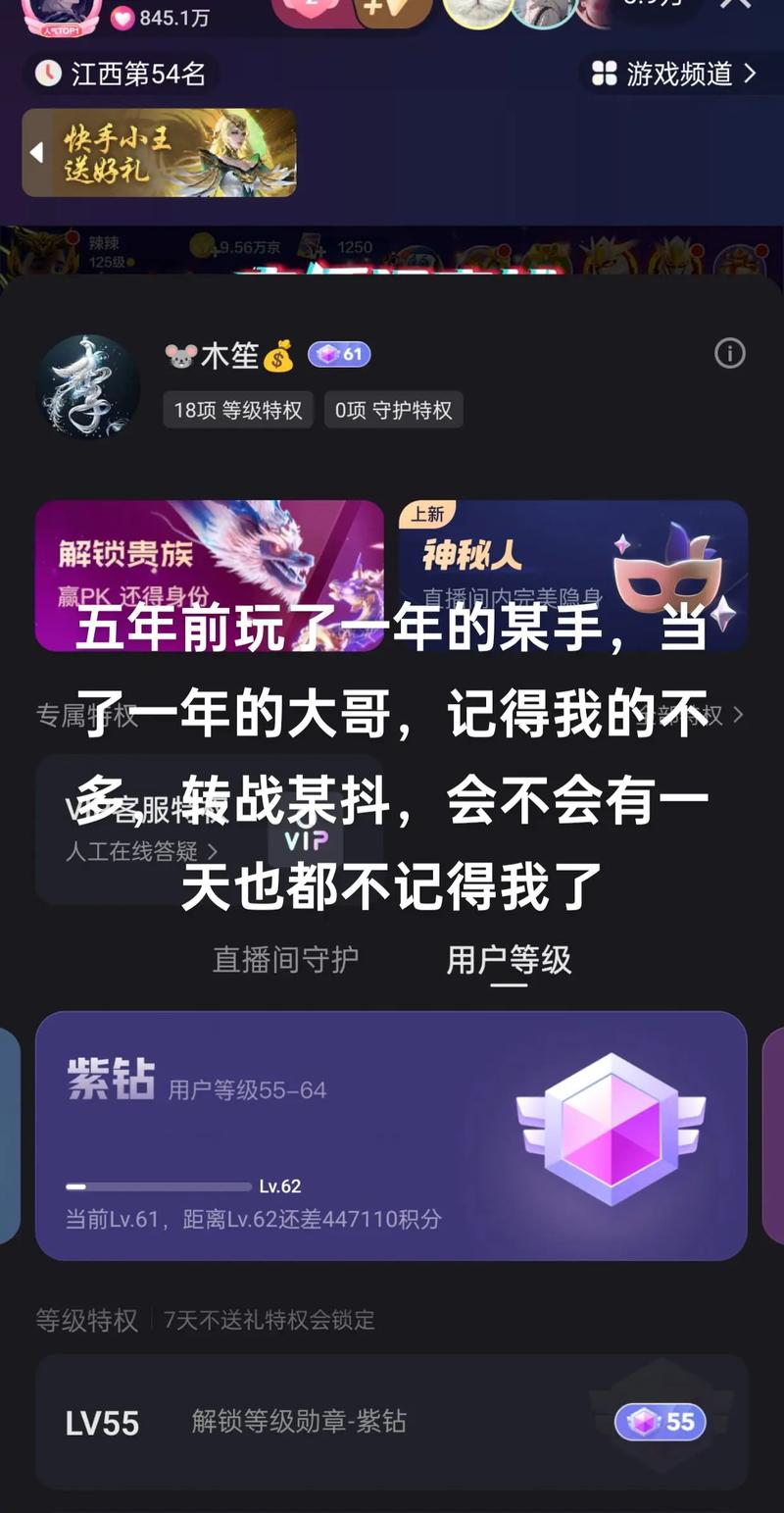 **标题：快手带刷网：揭秘轻松登顶热门榜单的秘诀**