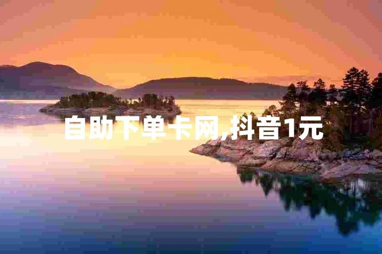 自助下单新体验,抖音粉丝飙升不是梦