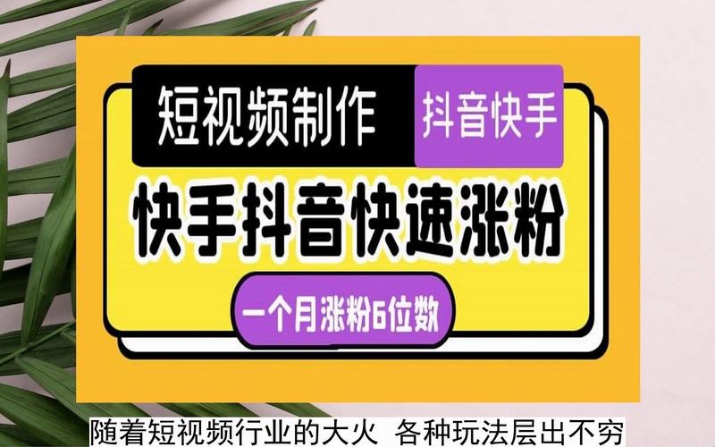 揭秘快手涨粉秘诀，一款免费软件带你飞！