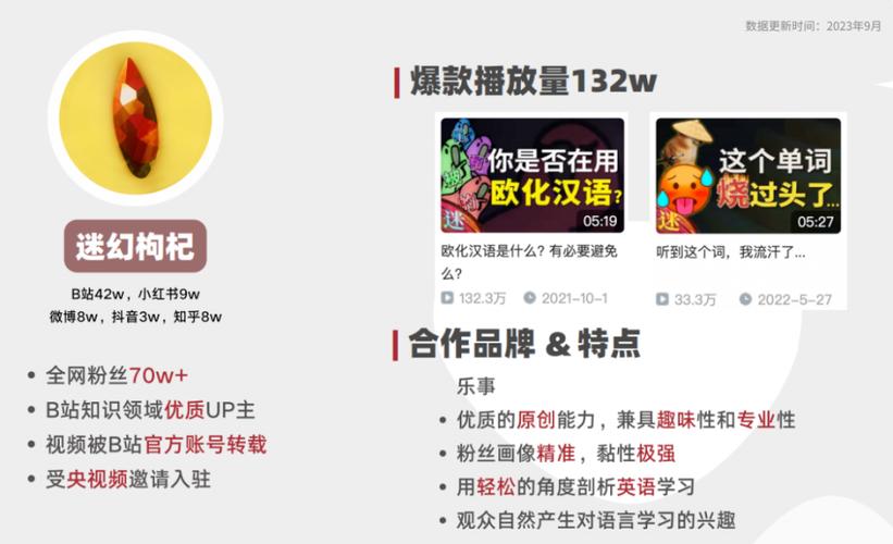 **标题:B站视频推广秘籍大公开:专业团队带你玩转播放量飙升之道!**
