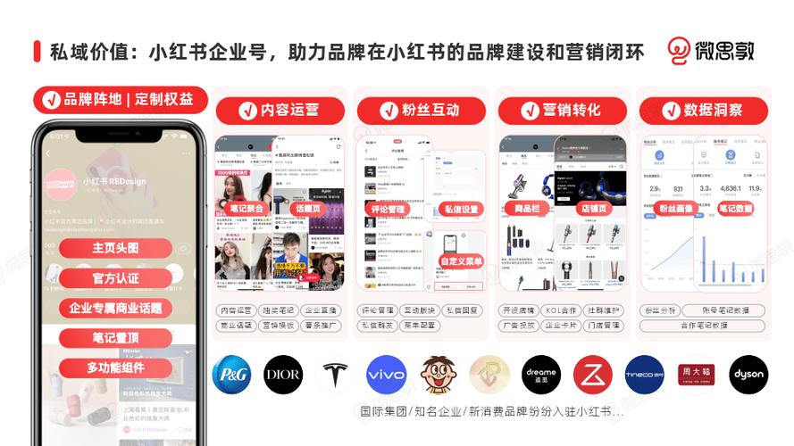 **小红书涨粉秘诀大揭秘:一元策略引爆粉丝狂潮!**
