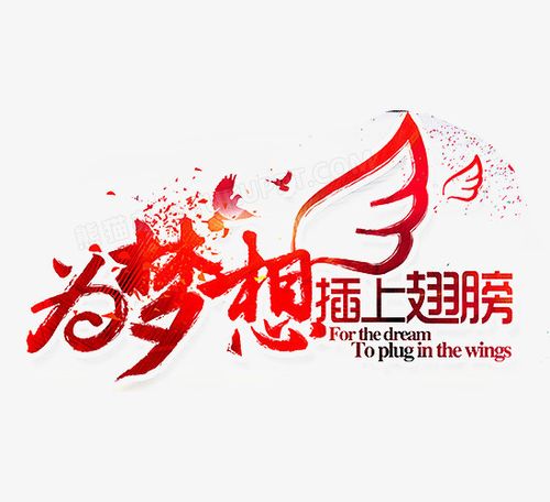 抖音粉丝自助购买，为你的梦想插上翅膀