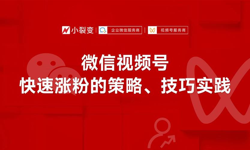 **标题:揭秘视频号涨粉秘籍:实战操作,助你粉丝量飙升!**