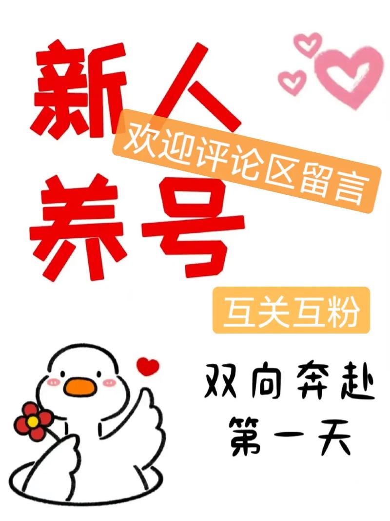 **标题:揭秘视频号涨粉秘籍:实战操作,助你粉丝量飙升!**