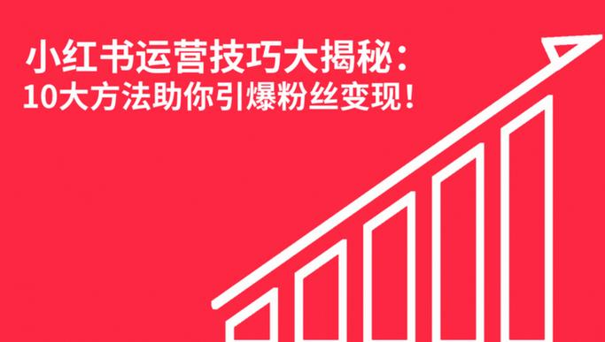 **标题：揭秘小红书粉丝增长秘籍，一元投入引爆人气狂潮！**