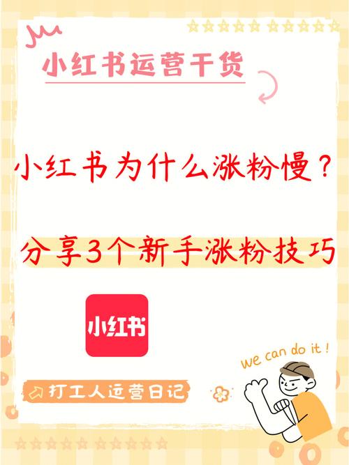 小红书买粉丝攻略大揭秘：如何快速提升粉丝量至500人？