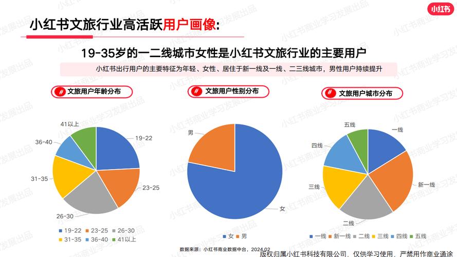 揭秘！小红书粉丝自助平台背后的数据分析与洞察