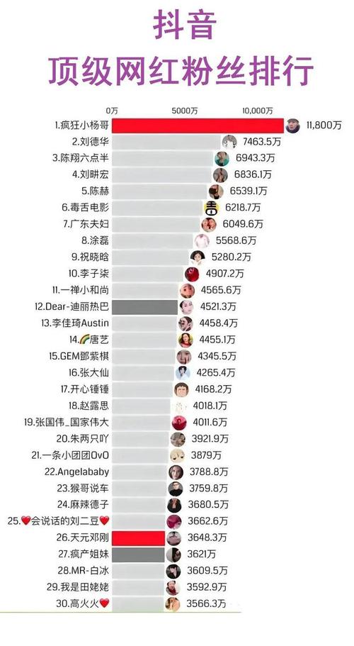 揭秘抖音粉丝购买平台，快速累积粉丝量