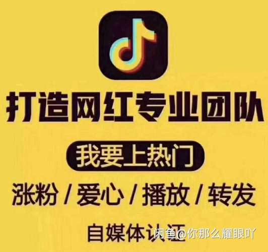 快手刷粉软件，轻松提升你的影响力