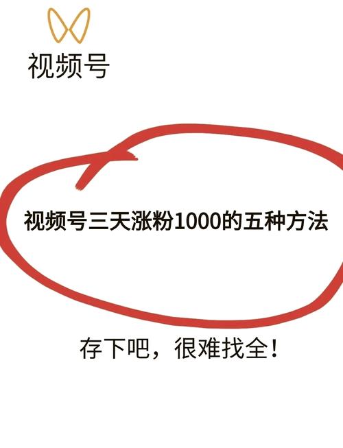 **标题：视频号涨粉全攻略：揭秘突破粉丝瓶颈的秘诀！**
