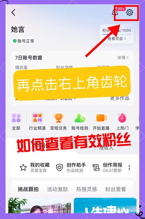 **揭秘视频号增粉神器：高效刷粉平台全面测评！**