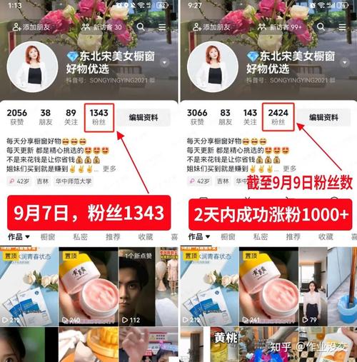 **小红书粉丝购买心得大揭秘：如何轻松俘获粉丝心，助你账号持续走红**