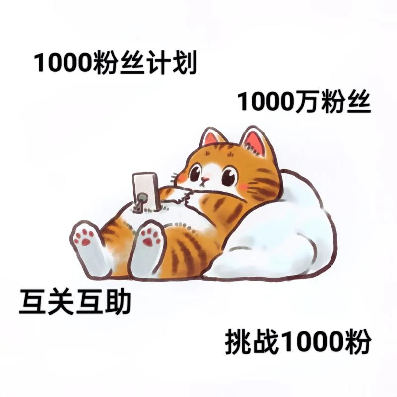 **抖音粉丝市场深探：千粉性价比之选**