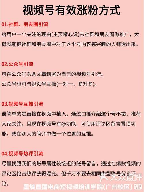 **视频号春天降临:高效刷粉平台,引领你的内容飞跃**