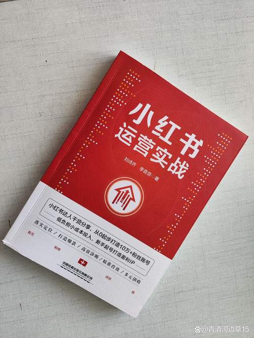 **标题：小红书人气飙升秘诀：一元成本吸引高质量活跃粉丝！**