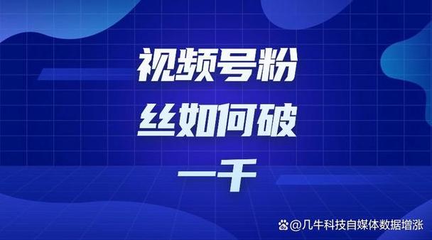 **标题：揭秘视频号快速吸粉秘籍，轻松实现粉丝破万！**