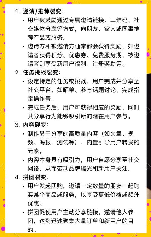 **B站粉丝飙升秘籍：揭秘增长背后的智慧策略**