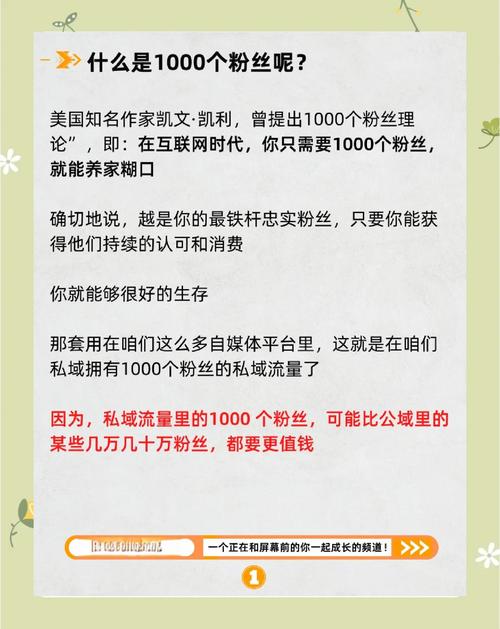 **标题：视频号运营新手指南：1000粉养成计划全揭秘**