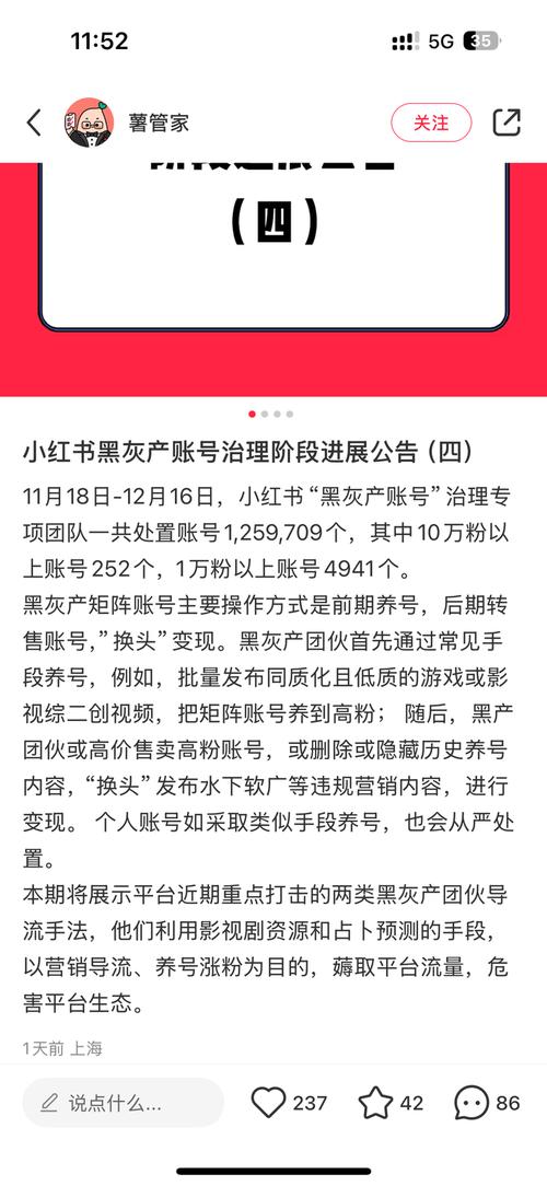 **小红书粉丝购买心得：安全增粉，远离封号风险**