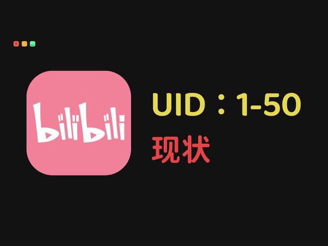 **标题：B站视频热度提升神器！轻松打造爆款，让你的作品火遍全网！**