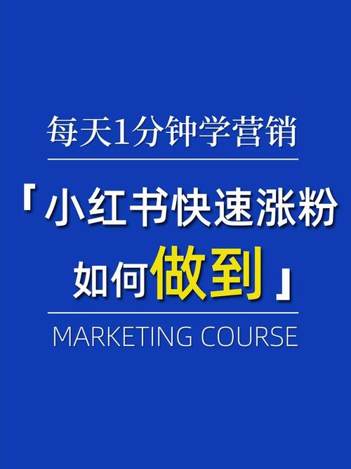 **揭秘小红书涨粉新策略:轻松实现粉丝量飙升!**