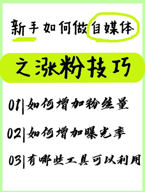 **揭秘B站粉丝增长秘籍：刷粉软件背后的奥秘与风险**