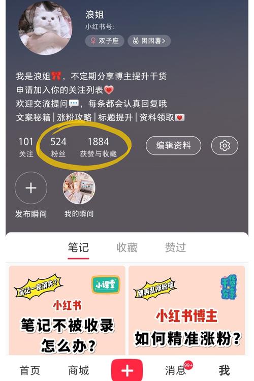 **轻松购得优质小红书账号，快速开启你的网红之路！**