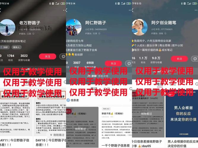 小红书粉丝网站：内容创业者的福音