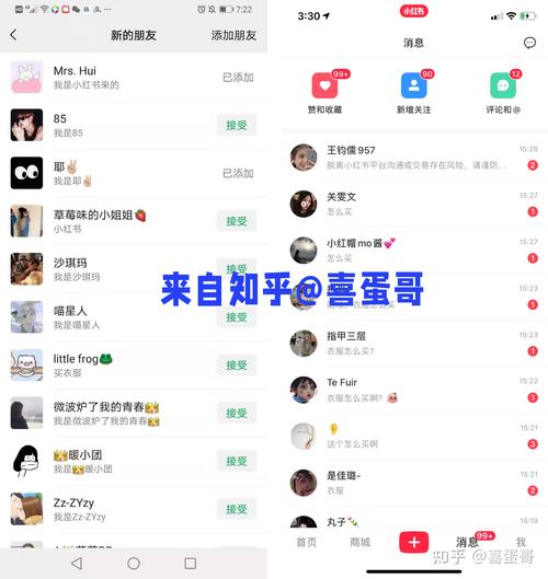**小红书新手进阶攻略：粉丝价值与价格探秘**