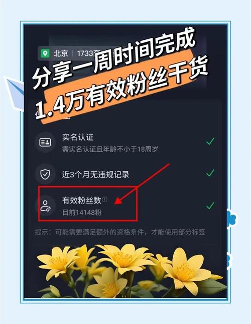 粉丝增长秘诀大公开，你绝对不能错过这个刷粉平台！