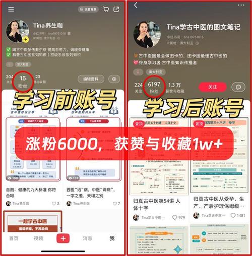 小红书粉丝增长捷径：探究买粉的利与弊