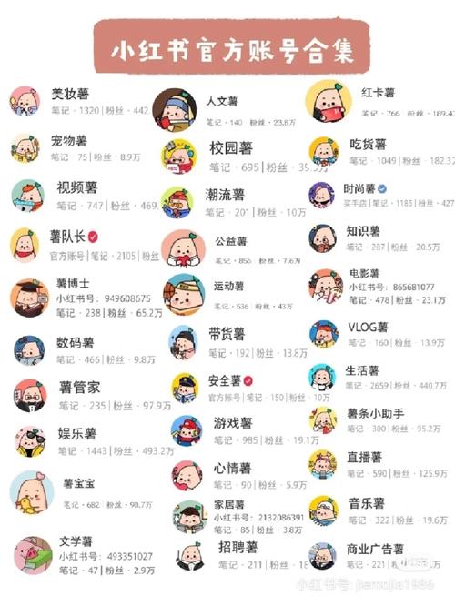 **标题：粉丝经济浪潮下，探秘小红书账号的潜在价值**