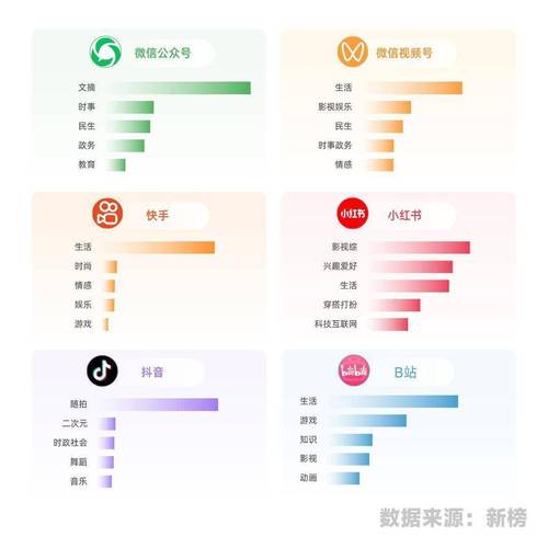**揭秘B站爆款视频背后的推手：专业播放量提升平台解析**