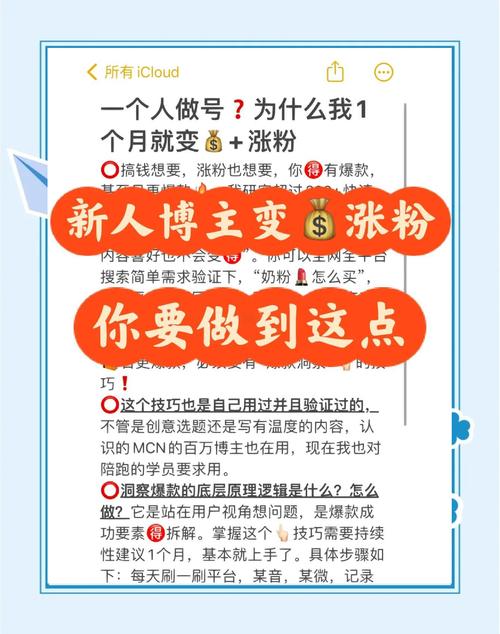 **标题：揭秘小红书涨粉秘诀：打造爆款笔记，轻松吸引粉丝关注！**
