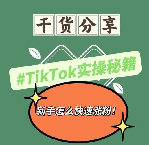 **标题：跃升哔哩哔哩巅峰！揭秘红人刷粉秘籍，助你火爆全站！**