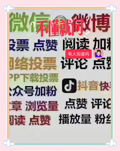 打造网红新势力：专业抖音买粉网站的实力展示