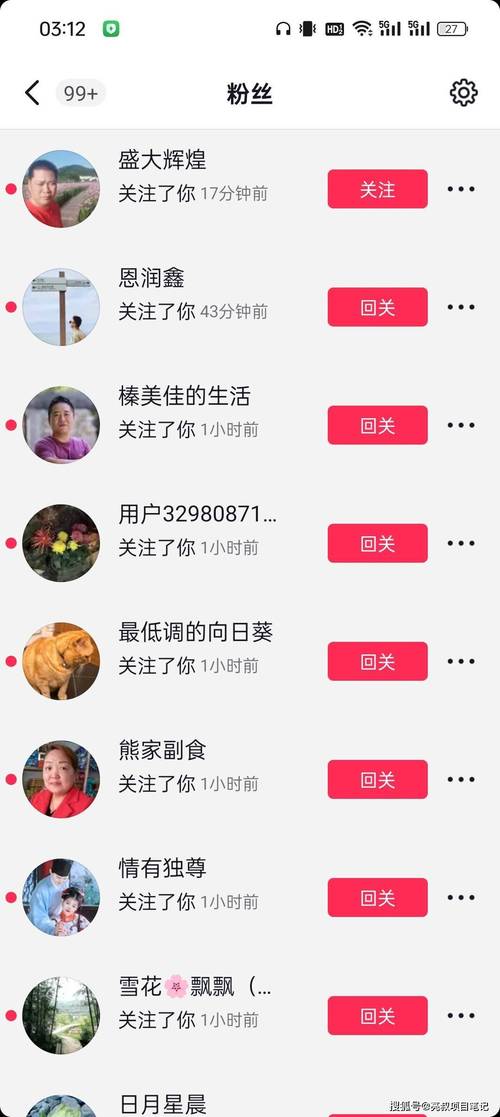 探索微博涨粉的奥秘,带你认识真正有效的刷粉工具。
