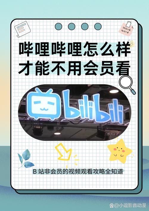 **揭秘哔哩哔哩背后的魅力世界：代刷网站的深层探索**