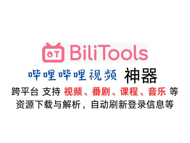 **揭秘神器：利用网站助力，让你的B站视频火爆全网！**